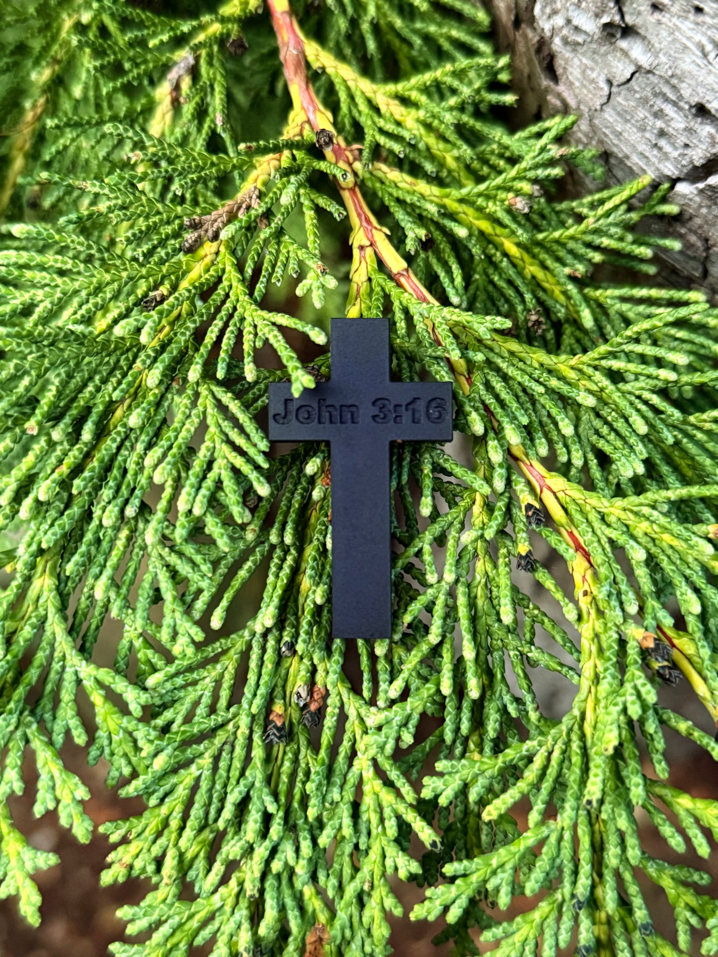 The Cross